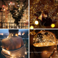 100 LED Fairy Lights With Copper Wire Battery Operated String Light For Holiday Decoration